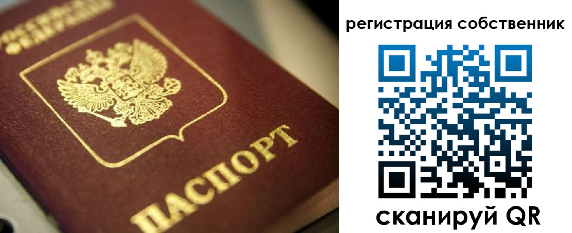 прописка в Барыше